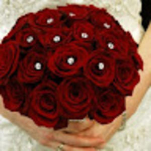 Meet your Posher, Vilma